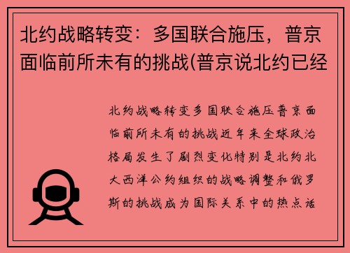 北约战略转变：多国联合施压，普京面临前所未有的挑战(普京说北约已经没有存在的必要了)