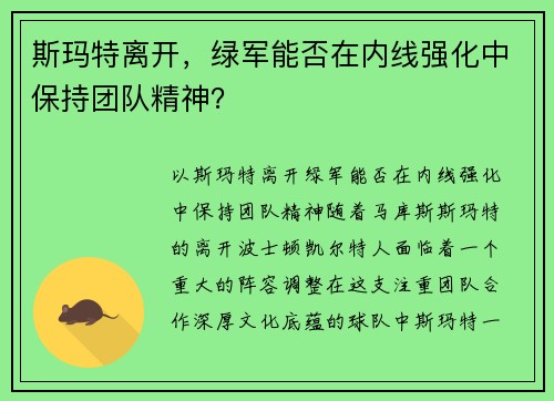 斯玛特离开，绿军能否在内线强化中保持团队精神？