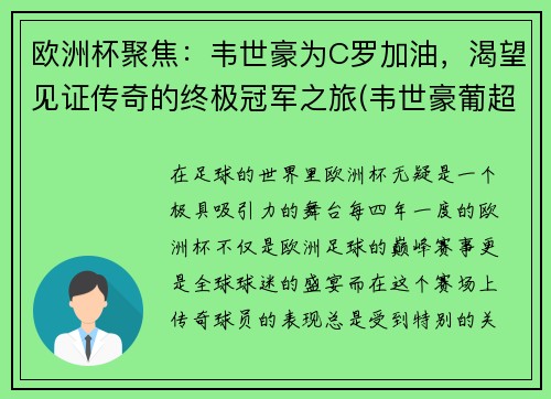 欧洲杯聚焦：韦世豪为C罗加油，渴望见证传奇的终极冠军之旅(韦世豪葡超集锦)