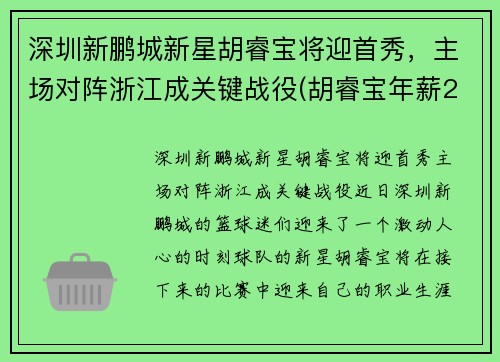深圳新鹏城新星胡睿宝将迎首秀，主场对阵浙江成关键战役(胡睿宝年薪2700万)