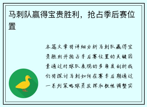 马刺队赢得宝贵胜利，抢占季后赛位置