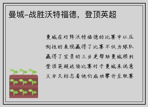 曼城-战胜沃特福德，登顶英超