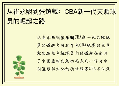 从崔永熙到张镇麟：CBA新一代天赋球员的崛起之路